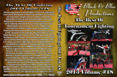 2013 Best Tournament Karate Fighting Sparring Kumite Competition #18 DVD